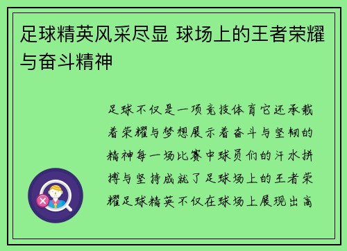 足球精英风采尽显 球场上的王者荣耀与奋斗精神