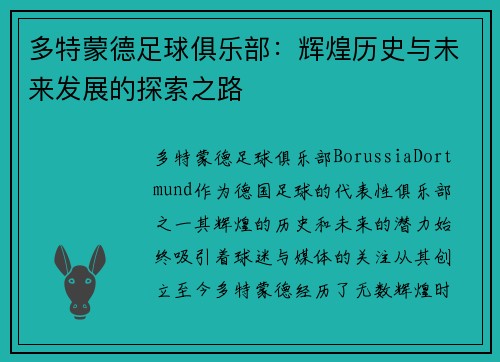 多特蒙德足球俱乐部：辉煌历史与未来发展的探索之路