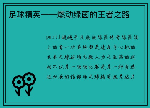 足球精英——燃动绿茵的王者之路